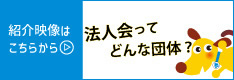 法人会ってどんな団体？